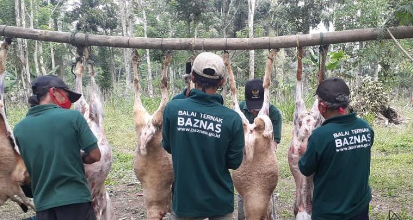 Peternak mustahik Balai Ternak BAZNAS Magelang sedang melakukan proses penyembelihan hewan ternak untuk hidangan berbuka puasa di Desa Banyusidi, Kecamatan Pakis, Kabupaten Magelang, Rabu (6/5).