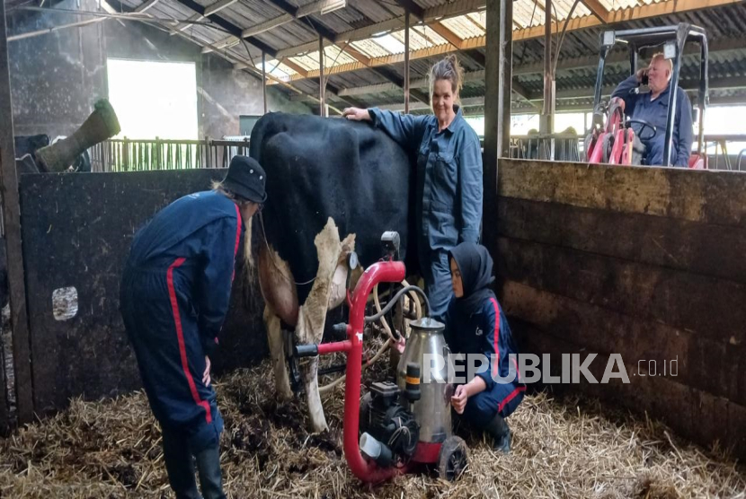 Peternak sapi perah muda asal Indonesia mengikuti pendidikan di Belanda.