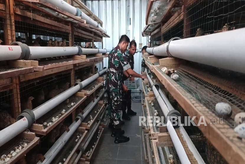 Bapanas Jamin Pasokan Daging dan Telur untuk MBG