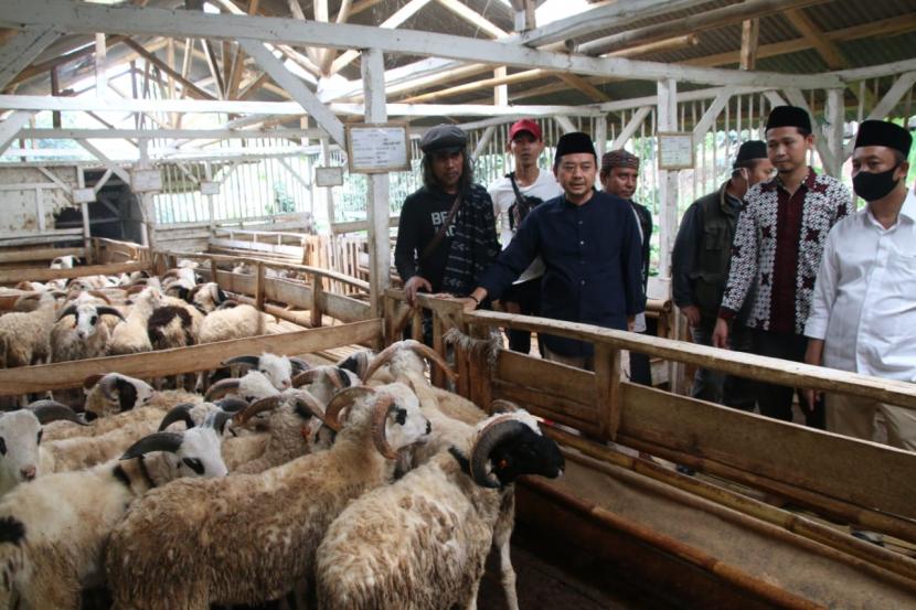 Peternakan domba klaster di Ponpes Nurul Hidayah Kampung Cibulakan, Desa Cinta Kec Karang tengah, Kabupaten Garut. 