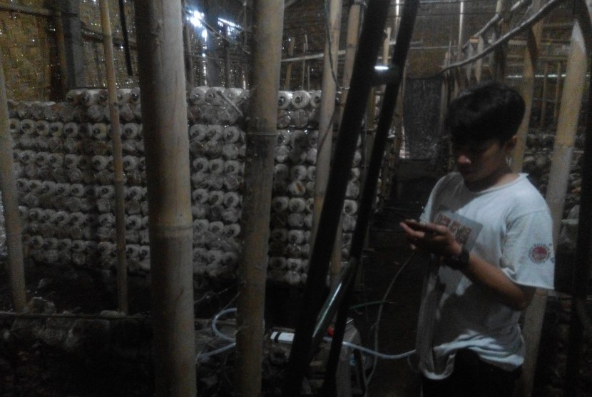  Petis, alat pengatur suhu dan kelembapan kumbung jamur tiram otomatis karya tiga mahasiswa Fakultas Teknik Universitas Negeri Yogyakarta (UNY).