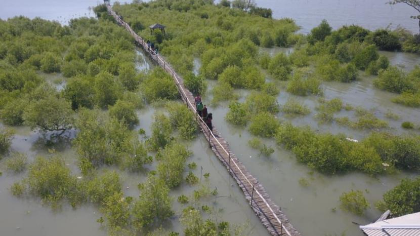 Petrokimia Gresik membangun konservasi mangrove di Kawasan Ekosistem Esensial (KEE) Mangrove Ujungpangkah, Kabupaten Gresik, Jawa Timur.