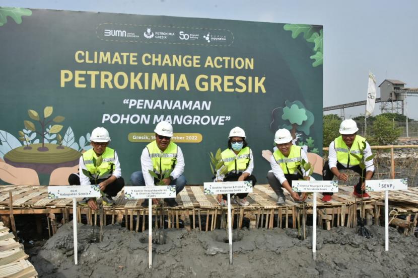 Petrokimia Gresik menanam puluhan ribu mangrove di pesisir pantai utara yang ada di sekitar perusahaan, di Gresik, Jawa Timur, Jumat (16/9/2022). 