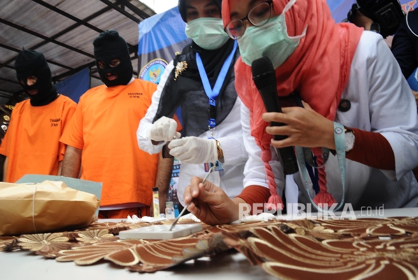 Petugas Badan Narkotika Nasional (BNN) sedang melakukan uji lab ganja di Kantor BNN, Jakarta. (Republika/Tahta Aidilla)