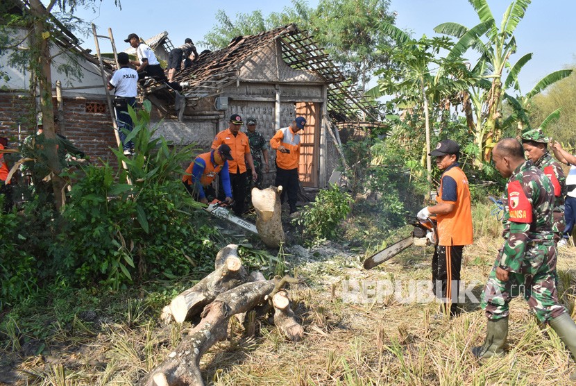 Pohon tumbang menimpa rumah penduduk akibat puting beliung. 