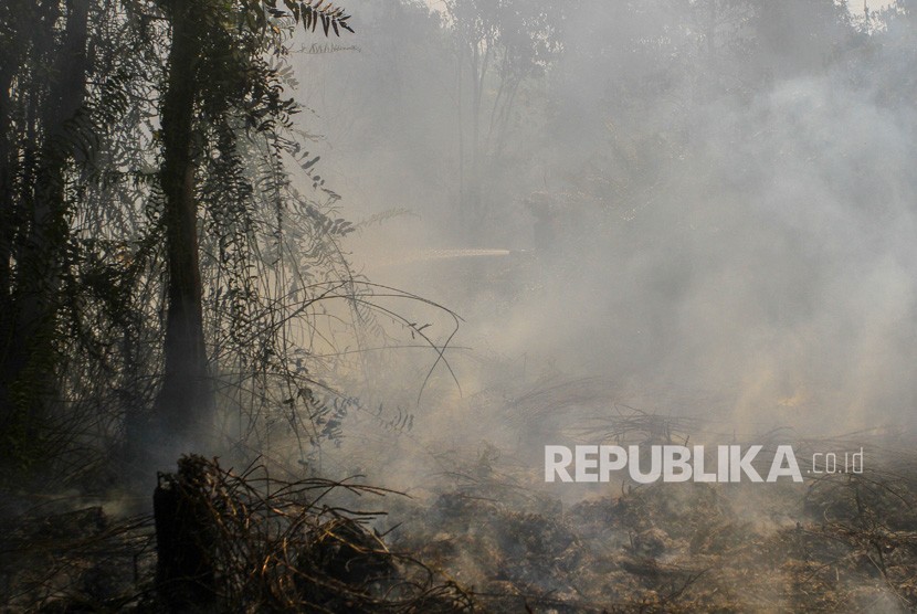 Petugas Badan Penanggulangan Bencana Daerah (BPBD) Kota Pekanbaru memadamkan kebakaran lahan di tengah asap pekat saat terjadi kebakaran lahan gambut di Pekanbaru, Riau, Jumat (2/8/2019).