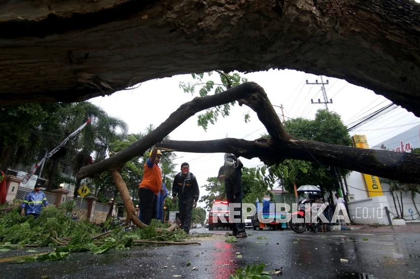 Angin kencang yang melanda Pamekasan, Jawa Timur, Selasa (29/12), menyebabkan tujuh rumah warga di Desa Pademawu Timur rusak (Foto: ilustrasi)