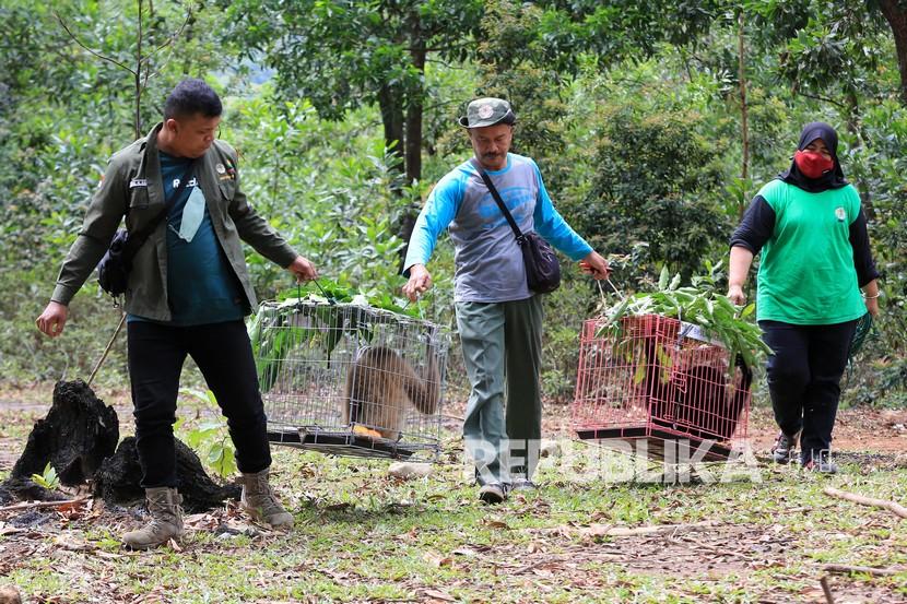Petugas polisi hutan dan balai konservasi hutan melindungi satwa langka.