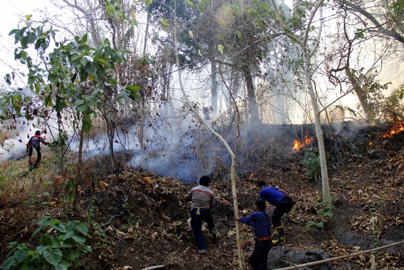  Petugas berusaha memadamkan api yang membakar kawasan hutan di Desa Bili-Bili, Kecamatan Bontomarannu, Kabupaten Gowa, Sulawesi Selatan, Kamis (1/10). 