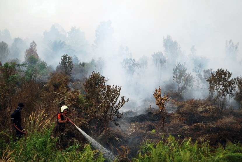 Petugas berusaha memadamkan kebakaran lahan gambut di Desa Rimbo Panjang, Kabupaten Kampar, Riau, Kamis (6/10). 