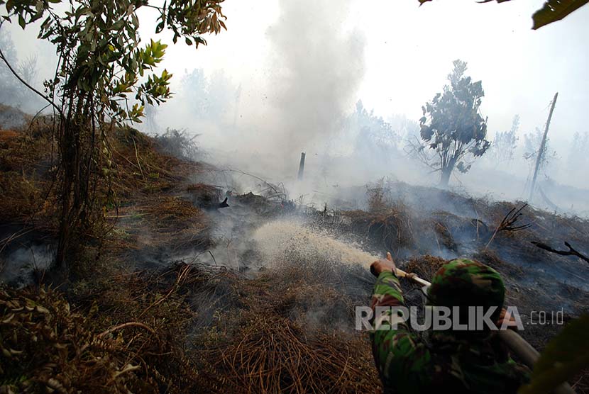 Petugas berusaha memadamkan kebakaran lahan gambut di Desa Rimbo Panjang, Kabupaten Kampar, Riau