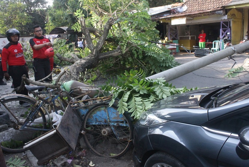 Pemerintah Kota (Pemkot) Bandung akan memberikan asuransi kepada pemilik kendaraan yang rusak akibat tertimpa pohon periode Oktober 2020 hingga Oktober 2021. Selain itu, asuransi juga akan diberikan kepada masyarakat yang menjadi korban tertimpa pohon yang dikelola oleh pemerintah.