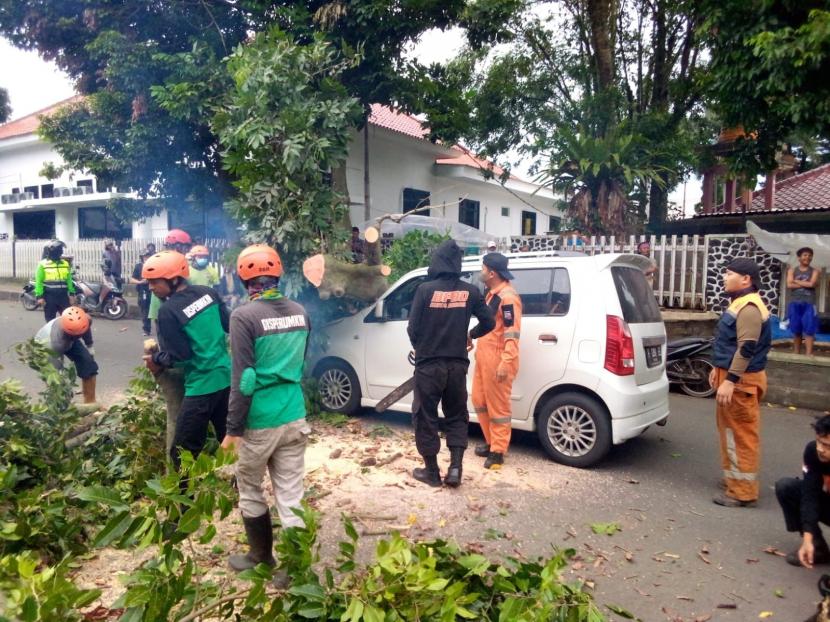 Petugas BPBD dan Disperumkim Kota Bogor mengevakuasi pohon tumbang yang menimpa mobil di Jalan MA Salmun, Kecamatan Bogor Tengah, Kota Bogor. 