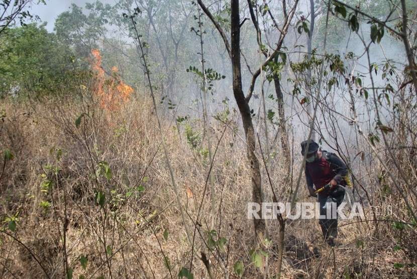 Petugas BPBD Kabupaten Kuningan melakukan pemadaman sapi saat kebakaran melanda kawasan hutan Taman Nasional Gunung Ciremai, di Kuningan, Jawa Barat, Selasa (2/10). 