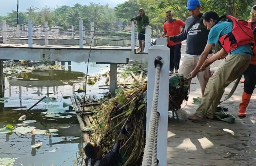 Petugas BPBD melakukan pembersihan teratai di objek wisata Situ Bagendit Kabupaten Garut, Senin (20/6/2022). Objek wisata itu ditutup sementara dalam rangka restorasi ekosistem.