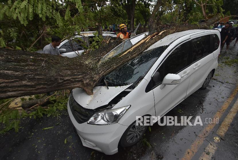 Pohon tumbang yang menimpa mobil di Medan, Sumatera Utara (Ilustrasi)