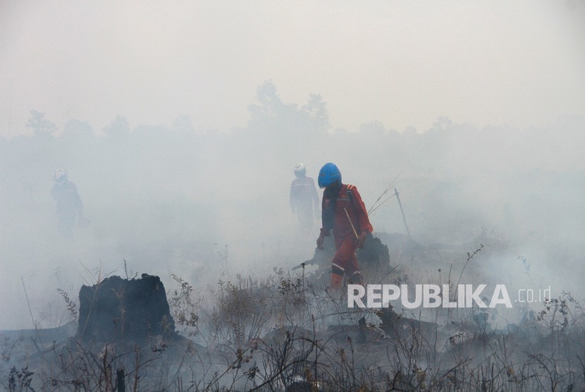 Petugas Brigdakarhutla Dinas Kehutanan berupaya memadamkan kebakaran lahan gambut di Ray enam Desa Sungai Batang, Kabupaten Banjar, Kalimantan Selatan, Rabu (28/8/2019).