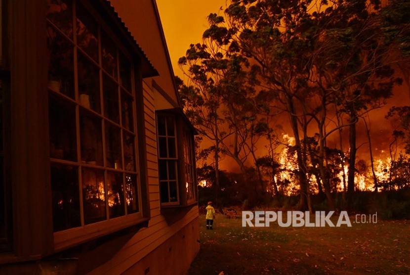 Petugas damkar berusaha memadamkan api kebakaran semak yang mendekati sebuah properti dekan Danau Tabourie, Australia, Kamis (5/12).  Kebakaran Hutan di Australia Makin Mendekati Sydney.