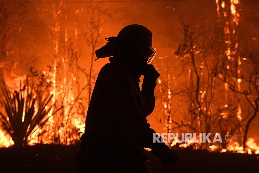 Petugas damkar setempat mengamankan propert di  Waratah Road dan Kelyknack Road saat lautan api kebakaran semak mendekati  approaches kawasan Mangrove Mountain, Australia, Kamis (5/12).
