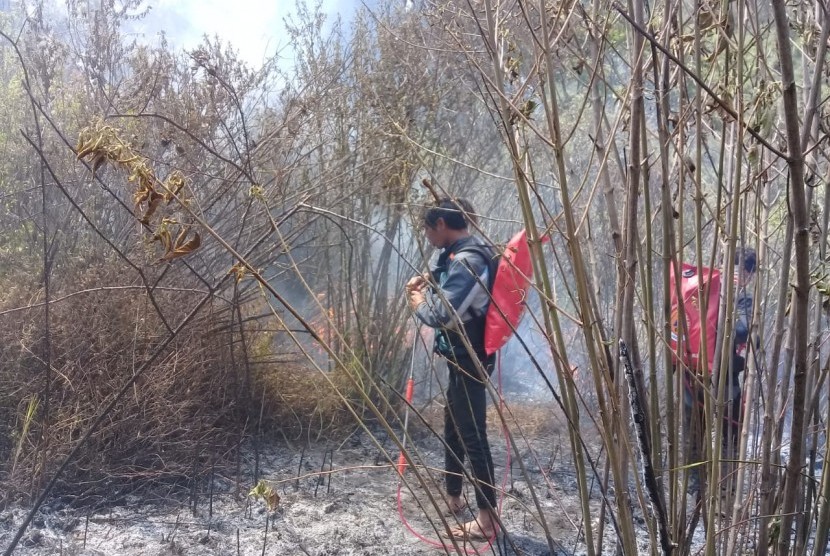 Petugas dari berbagai tim masih berusaha memadamkan api di kawasan Gunung Semeru. 