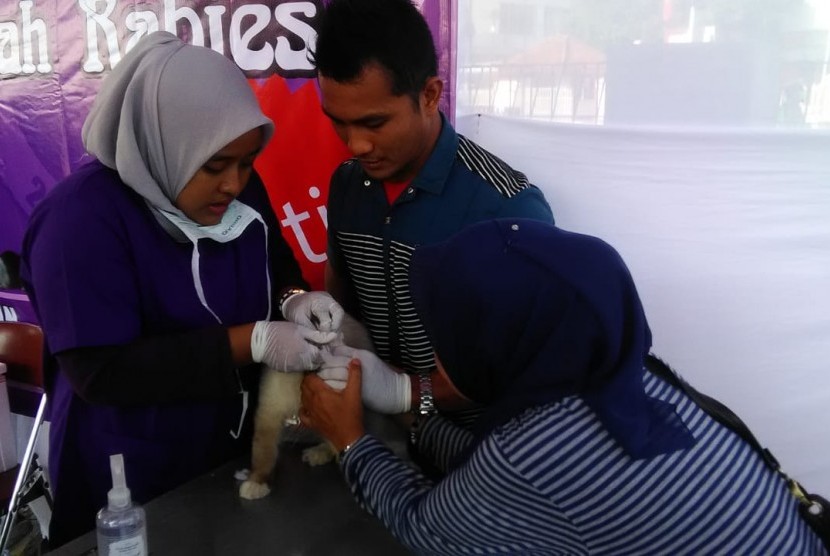 Pemeriksaan dan vaksinasi rabies terhadap hewan peliharaan milik warga (ilustrasi) 