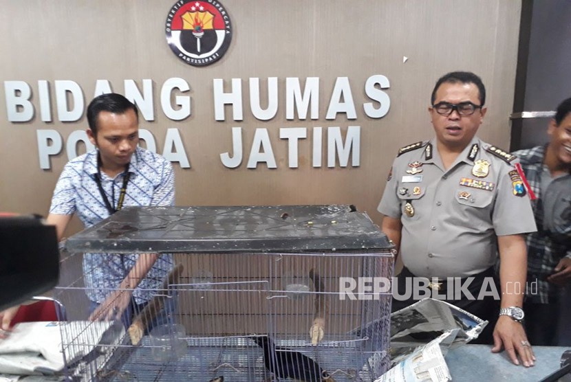Petugas dari Polda Jatim menunjukan tersangka dan barang bukti dalam kasus jual beli satwa langka berupa beberapa jenis burung, di Mapolda Jatim, Surabaya, Jumat (6/4).