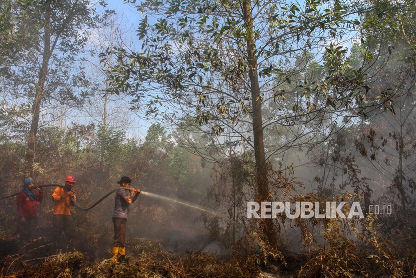 Petugas dari Satgas Karhutla Provinsi Riau berusaha memadamkan bara api yang membakar lahan gambut di Desa Karya Indah, Kabupaten Kampar, Riau, Jumat (26/07/2019). 