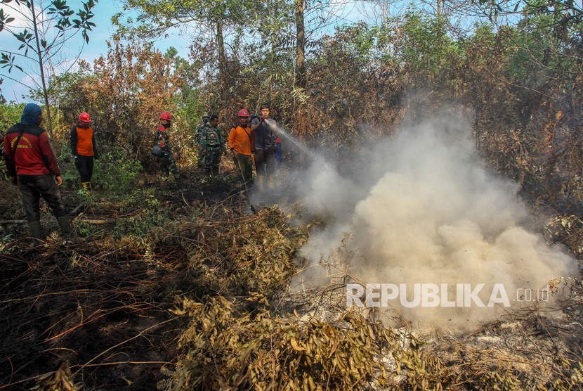 Petugas dari Satgas Karhutla Provinsi Riau berusaha memadamkan bara api yang membakar lahan gambut (ilustrasi)