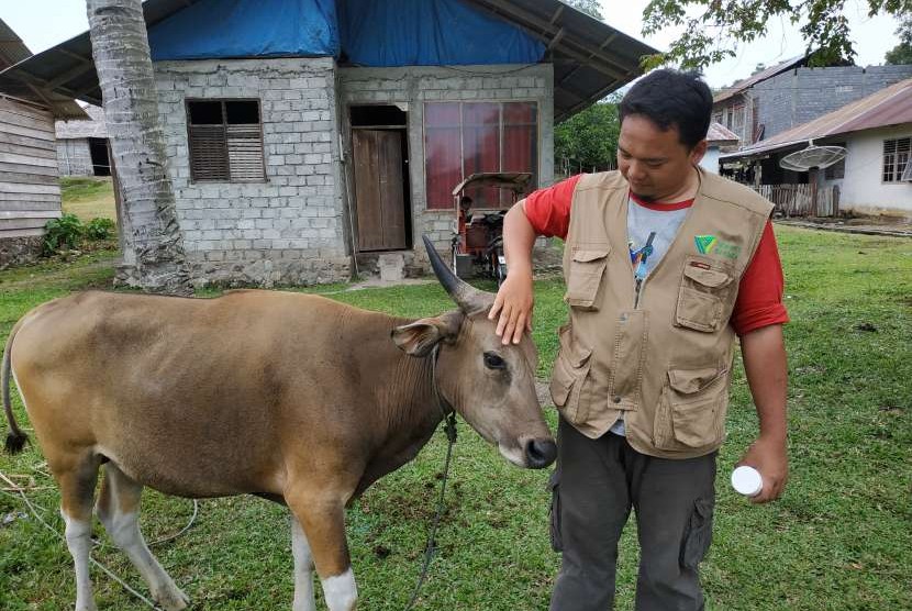 Dompet Dhuafa Sumatera Selatan menargetkan 200 hewan qurban untuk disebar di pelosok wilayah Sumatera Selatan pada Idul Adha 2020. (foto ilustrasi)