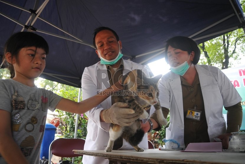  Petugas Dinas Kelautan dan Pertanian Provinsi DKI Jakarta menyuntikkan vaksin Rabies kepada kucing peliharaan warga di Perumahan Bintaro Permai, Jakarta Selatan, Rabu (3/9).   (Republika/Rakhmawaty La'lang)