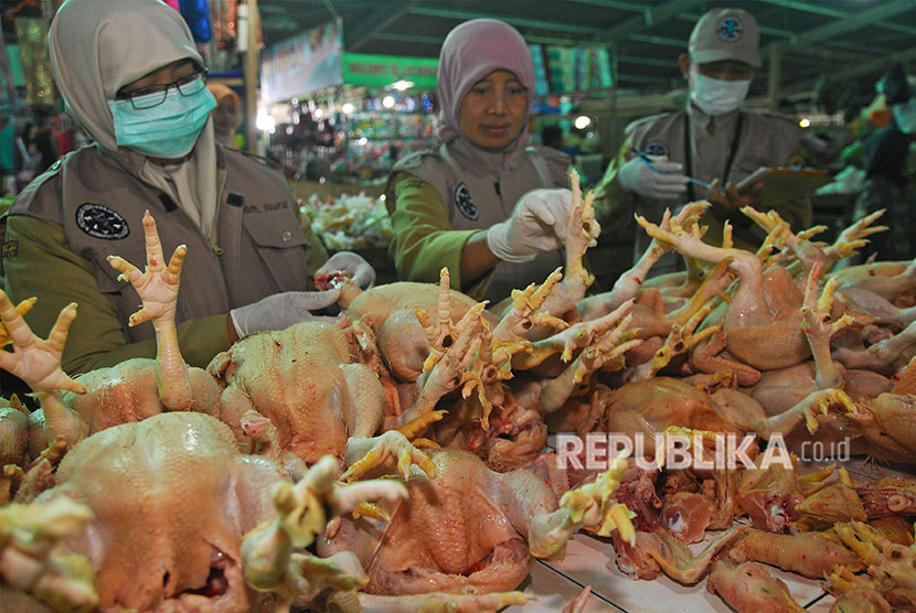 Petugas Dinas Perikanan dan Peternakan memeriksa kelayakan daging sapi dan daging ayam di pasar tradisional Ngadirejo, Temanggung, Jawa Tengah, Selasa (5/6).