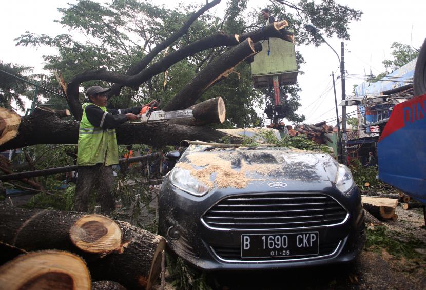 Petugas Dinas Pertamanan dan Pemakaman Kota Tangerang mengevakuasi sebuah mobil yang tertimpa pohon tumbang di Jalan A Dimyati, Kota Tangerang, Provinsi Banten, Kamis (23/12/2021).