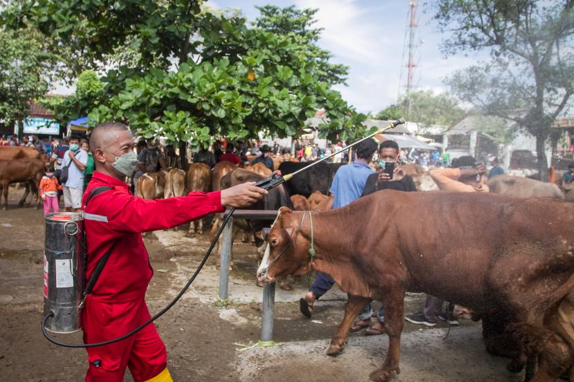 PMI Cabang Kabupaten Boyolali di Jawa Tengah mendukung pemerintah daerah melaksanakan penyemprotan disinfektan di pasar-pasar hewan ternak. (ilustrasi)