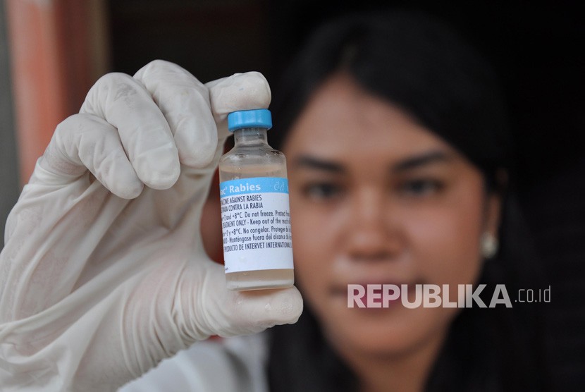 Petugas dokter hewan memperlihatkan vaksin rabies.