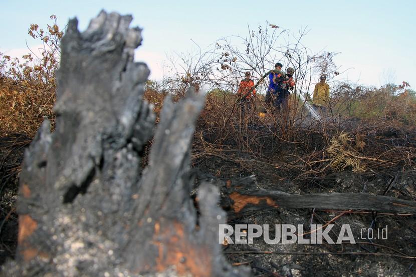 Petugas gabungan dari BPBD Aceh Barat, BKSDA Aceh, TNI/Polri dan Dinas Kehutanan Aceh memadamkan kebakaran lahan gambut di Desa Lapang, Kecamatan Johan Pahlawan, Aceh Barat, Aceh, Kamis (2/7/2020). Berdasarkan data dari Badan Penanggulangan Bencana Aceh (BPBA) sejak Januari sampai akhir Juni 2020, 353 hektare lahan terbakar di Provinsi Aceh. 