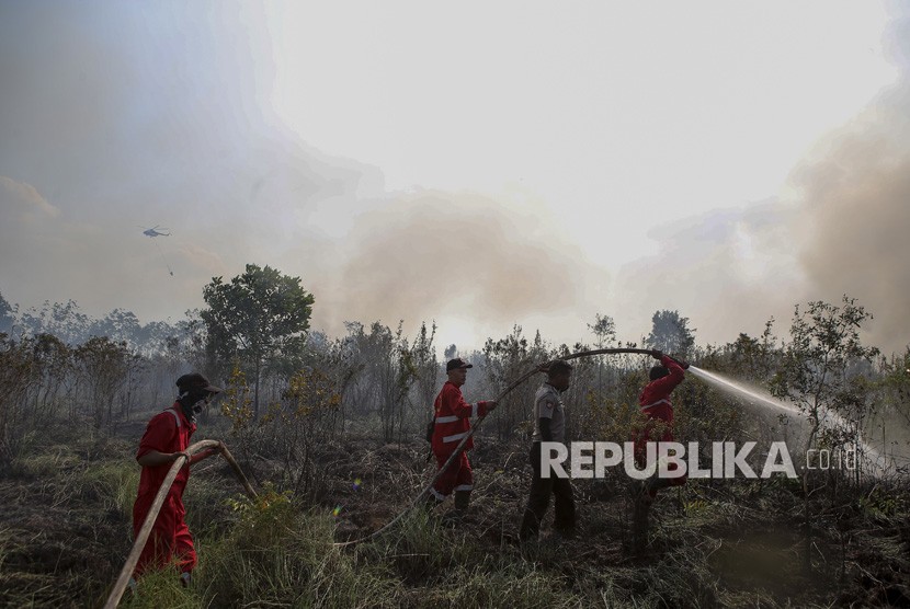 Forest fire in Semambu Island, Ogan Ilir, South Sumatra. (File photo) 