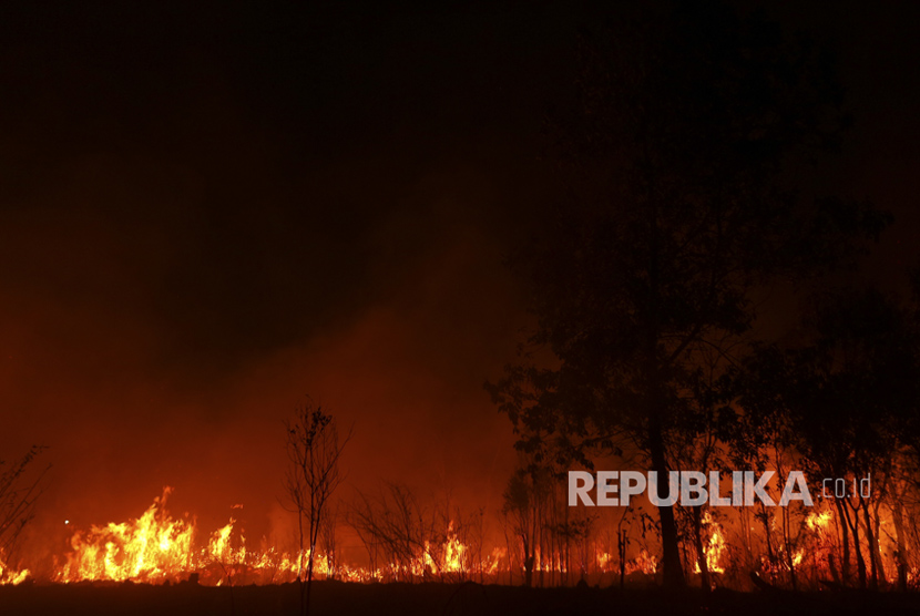 Kebakaran lahan di Sumatra Selatan. ilustrasi