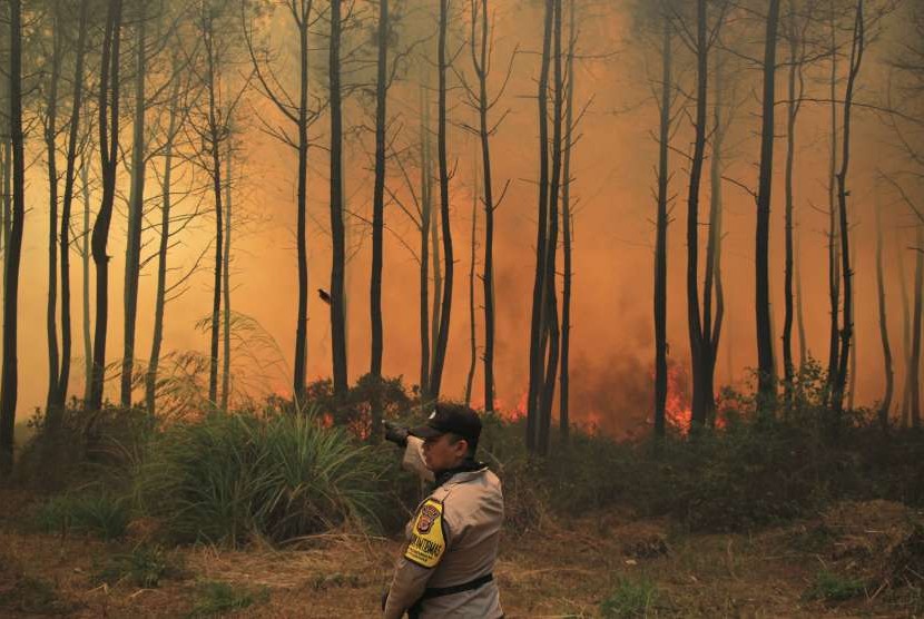 Petugas gabungan terkepung kobaran api dan kepulan asap saat melakukan pemadaman kebakaran hutan di lereng Gunung Ciremai, Kuningan, Jawa Barat.