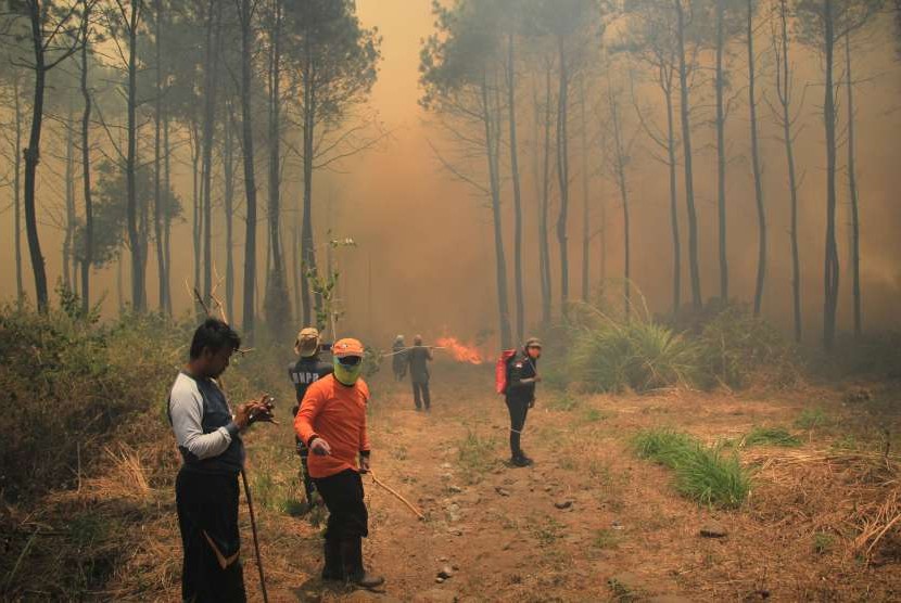 Petugas gabungan terkepung kobaran api dan kepulan asap saat melakukan pemadaman kebakaran hutan di lereng Gunung Ciremai, Kuningan, Jawa Barat, Rabu (3/10). (Ilustrasi)
