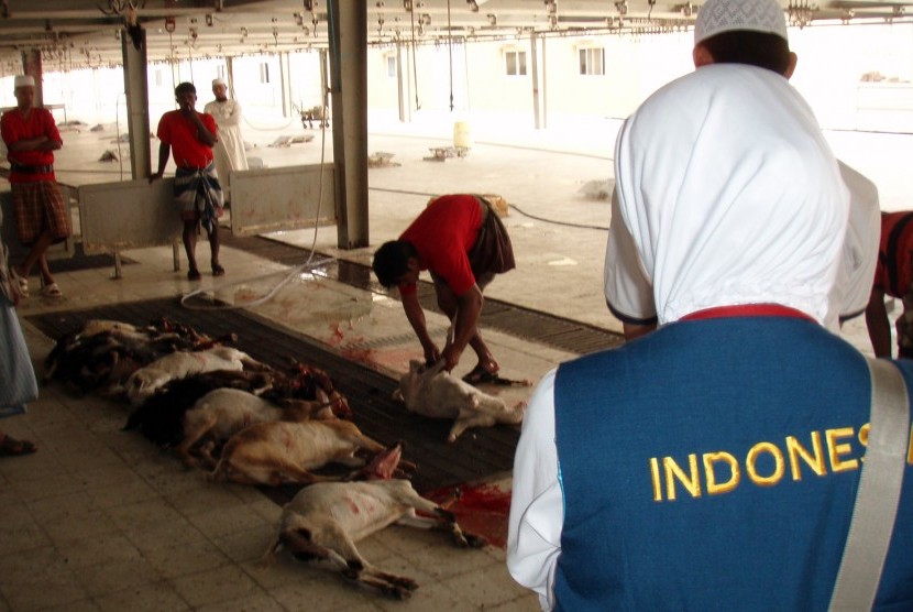  Dam Haji Jamaah Diharapkan Bisa Dibawa ke Indonesia. Foto ilustrasi:  Petugas haji menyaksikan pemotongan hewan kurban untuk membayar dam (denda) di Tempat Pemotongan Hewan (TPH) al-Muasim, Makkah, Arab Saudi.