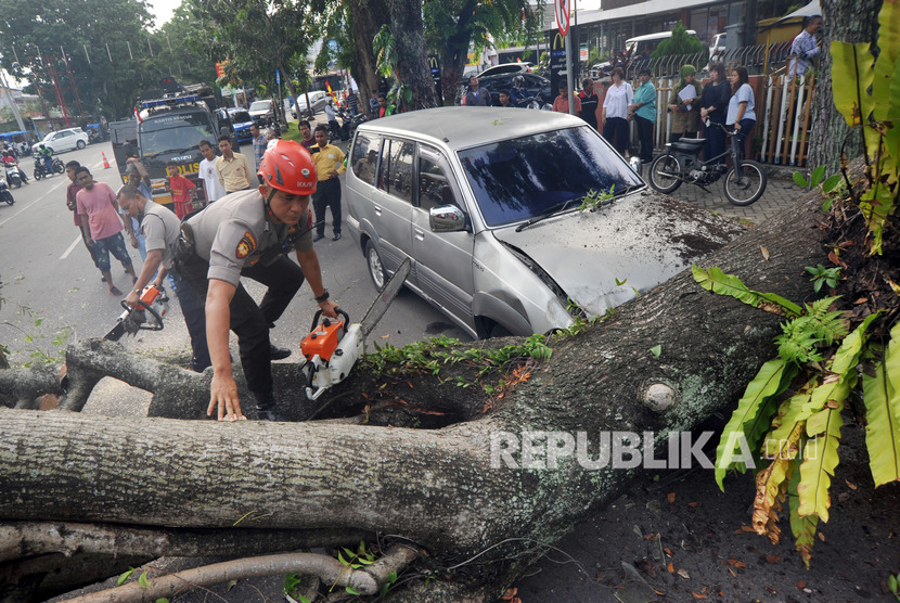 Petugas kepolisian memotong pohon yang tumbang. (Ilustrasi)