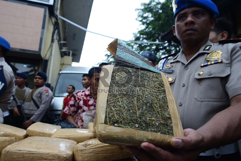   Petugas kepolisian menunjukan barang bukti narkoba jenis ganja saat konferensi pers hasil penangkapan ganja Aceh di Polres Jakarta Barat, Jumat (13/2).  (Republika/Raisan Al Farisi)