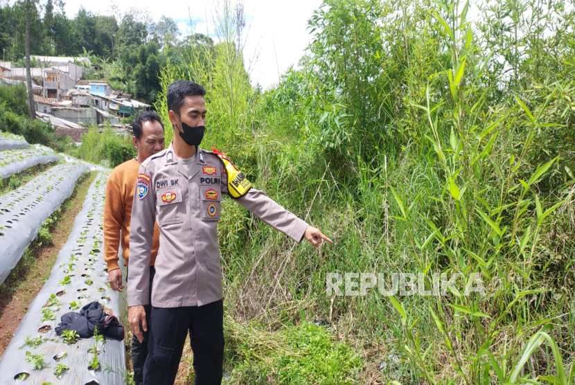 Petugas kepolisian tengah menunjukkan lokasi penemuan bayi perempuan yang masih hidup di Kampung Buniasih, Desa Langensari, Kecamatan Lembang, Kabupaten Bandung Barat, Rabu (11/12/2024). 