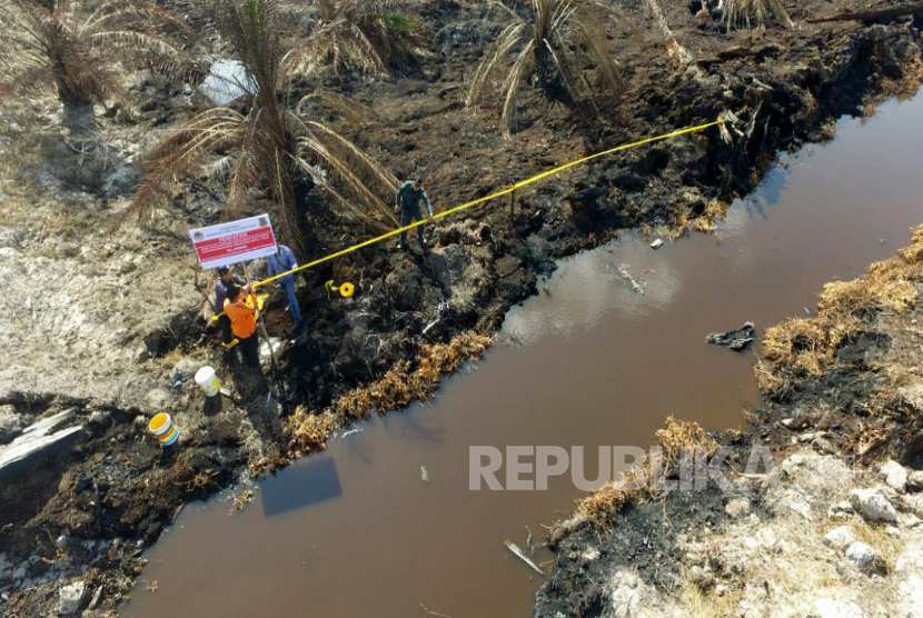 Petugas KLHK memasang pita tanda larangan di lahan perkebunan Rokan Hulu, Riau,  yang dibakar.  (Foto: Dok KLHK)  