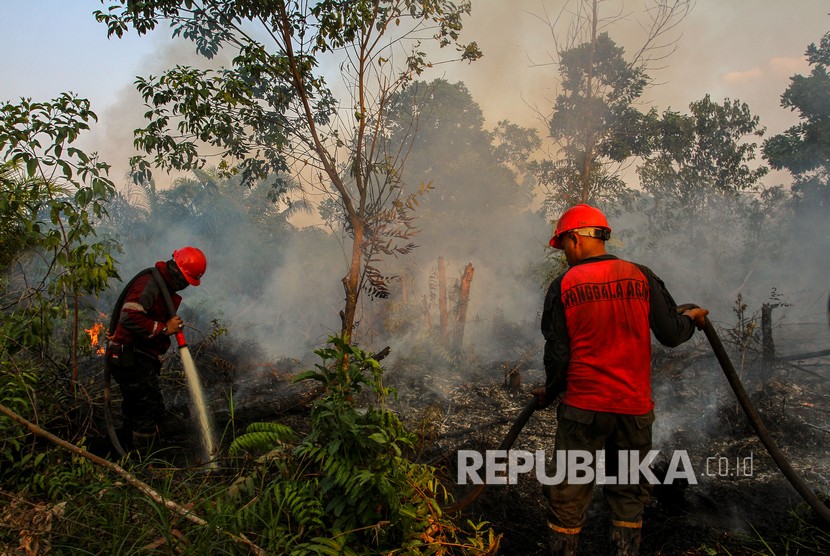 Petugas Manggala Agni berusaha memadamkan kebakaran lahan gambut di Pekanbaru, Riau.