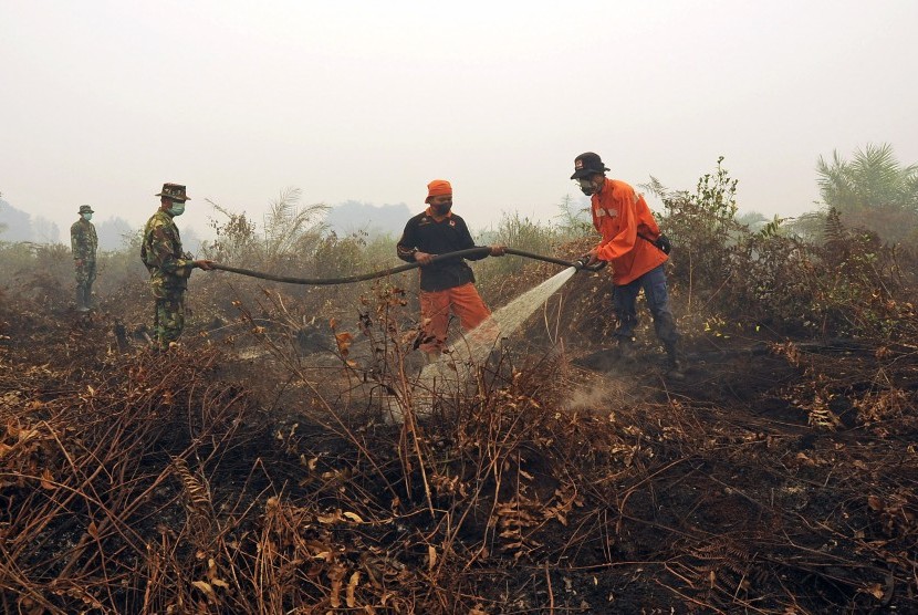 Petugas Manggala Agni dan TNI memadamkan sisa api yang membakar lahan gambut di Petaling, Muaro Jambi, Selasa (15/9).