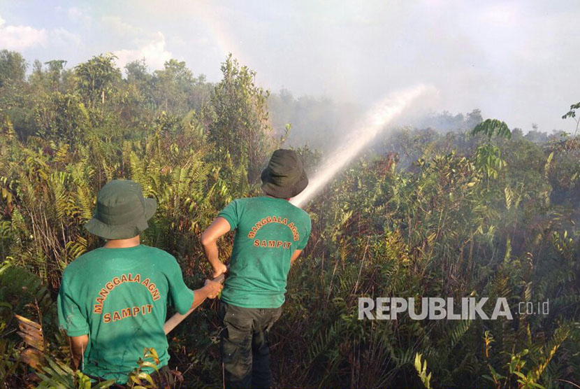 Petugas Manggala Agni Daops Pangkalan Bun melakukan pemadaman kebakaran hutan dan lahan di Desa Bangkuang Makmur, Kecamatan Mentawa Baru Ketapang, Kabupaten Kotawaringin Timur.
