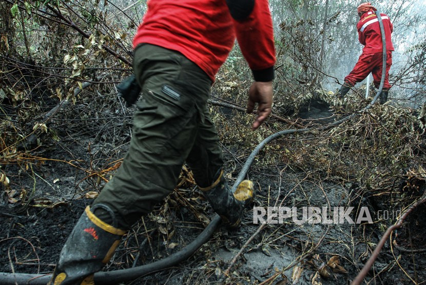 Petugas Manggala Agni menyemprotkan air ke lahan gambut 