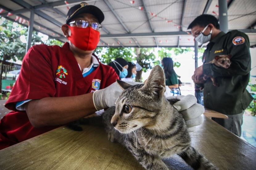 Petugas Pusat Kesehatan Hewan (Puskeswan) Dinas Ketahanan, Pertanian dan Perikanan Kota Jaksel menyuntikkan vaksin antirabies di kawasan Tebet, Jakarta, Sabtu (31/10).