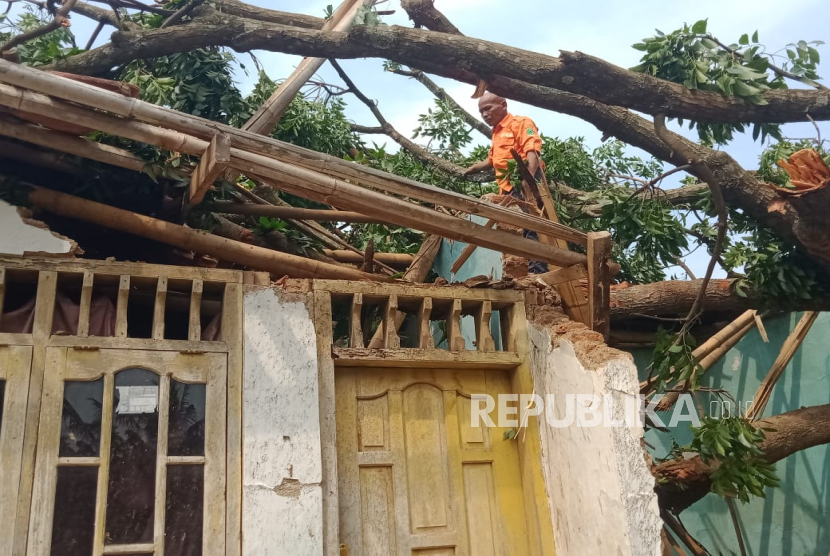 Petugas melakukan penanganan pohon tumbang yang menimpa rumah warga di Desa Ciputat, Kecamatan Ciawigebang, Kabupaten Kuningan, Senin (25/8/2025). Pohon itu tumbang akibat diterjang angina kencnag dan hujan intensitas tinggi pada Ahad (24/8/2025) sore. 